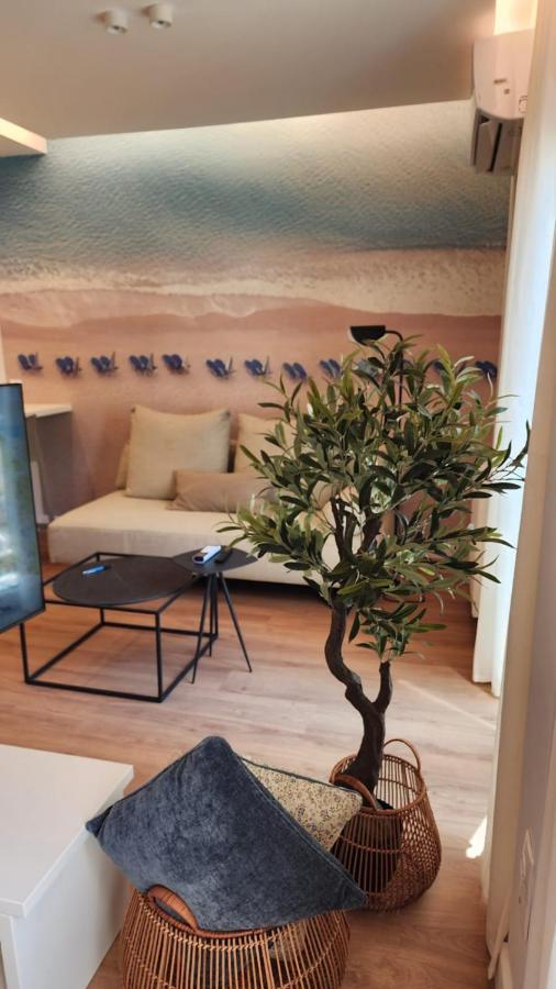 Renovated Apartment With Roof Garden Access, 15 M Walk To Acropolis 아테네 외부 사진
