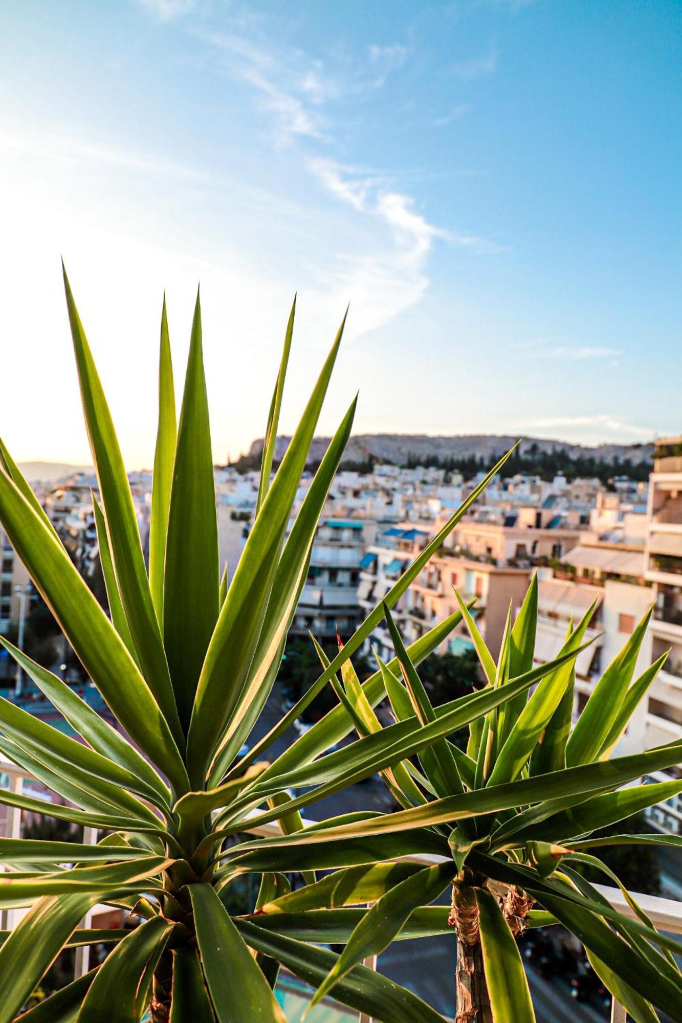Renovated Apartment With Roof Garden Access, 15 M Walk To Acropolis 아테네 외부 사진